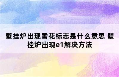 壁挂炉出现雪花标志是什么意思 壁挂炉出现e1解决方法